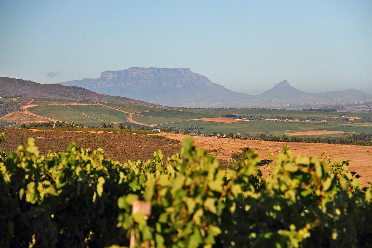 Muratie Wine Estate Stellenbosch Exterior photo